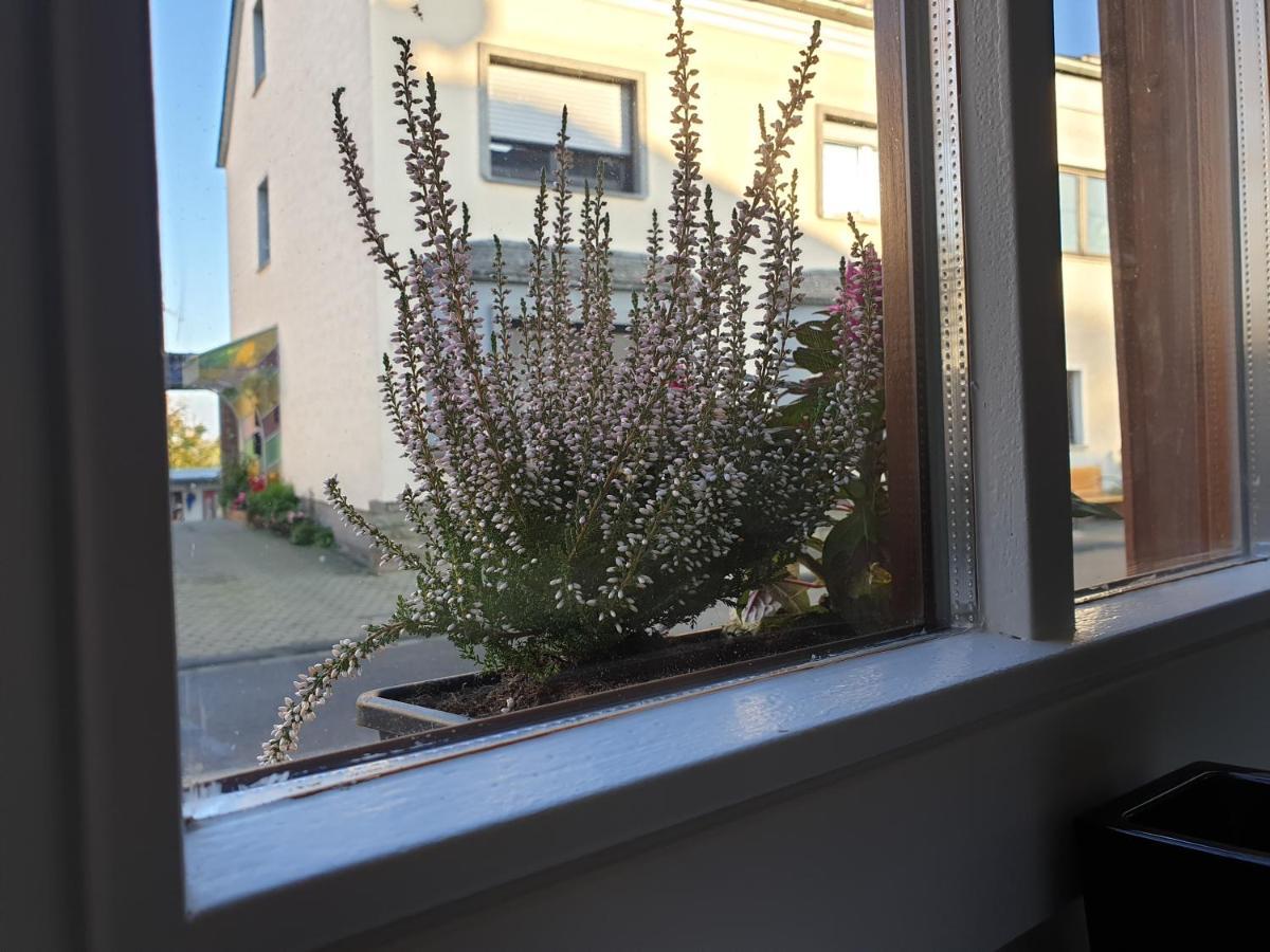 בורנהיים Duex-Hof Apartment Fachwerkhaus מראה חיצוני תמונה